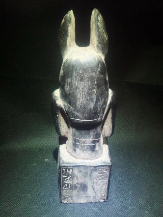 EGYPTIAN ANTIQUES ANTIQUITIES God Anubis Jackal Head Dog Statue 2685 - 2181 BC 9