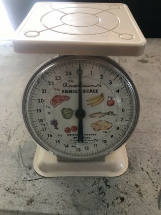 Vintage American Family Scale Old Farm 25 Lb Metal Kitchen Scale Off White Color