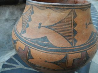 Outstanding Antique Zia Pueblo Polychrome Pottery Jar,  From Estate 2
