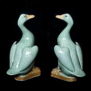 19 Th Century Chinese Porcelain Ducks