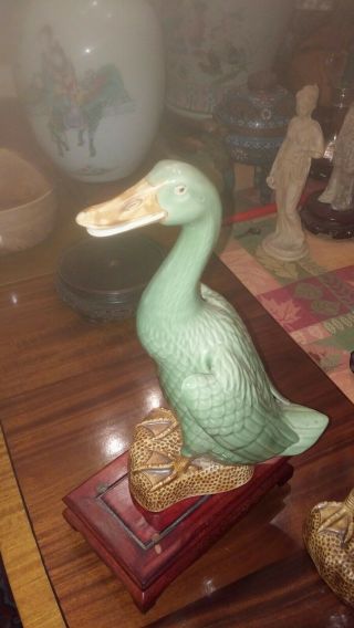 19 th Century Chinese Porcelain Ducks 2