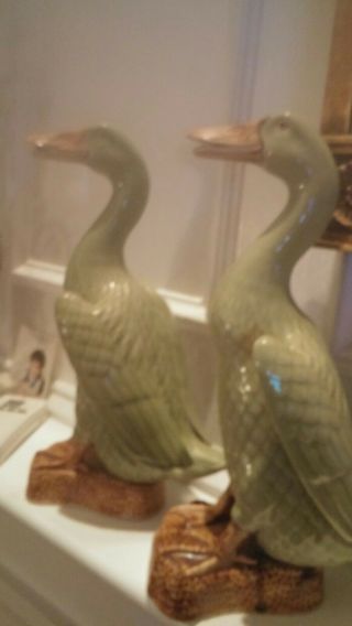 19 th Century Chinese Porcelain Ducks 5