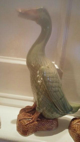 19 th Century Chinese Porcelain Ducks 6