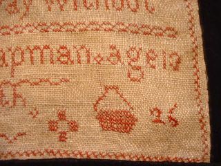 Antique 19ThC Needlepoint Sampler By Emily Chapman Dated 1825 5