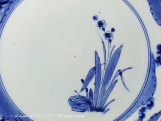 A Blue & White Kakiemon - Style Arita (ko - Imari) Narcissus Dish.  Edo,  Late 17th