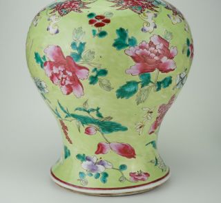 VLARGE Antique Chinese Famille Rose Apple Green Enamel Vase & Lid 18/19th C QING 10