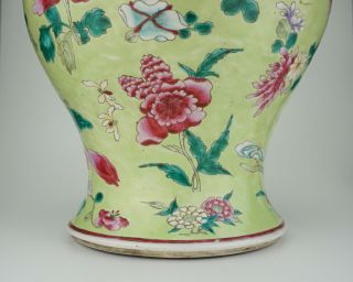 VLARGE Antique Chinese Famille Rose Apple Green Enamel Vase & Lid 18/19th C QING 2