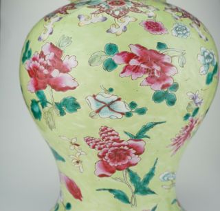 VLARGE Antique Chinese Famille Rose Apple Green Enamel Vase & Lid 18/19th C QING 3