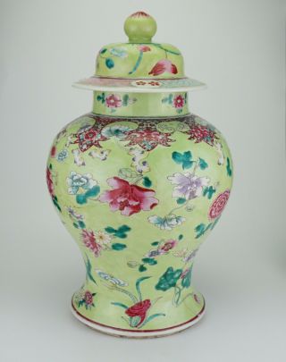 VLARGE Antique Chinese Famille Rose Apple Green Enamel Vase & Lid 18/19th C QING 4