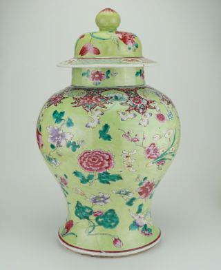 VLARGE Antique Chinese Famille Rose Apple Green Enamel Vase & Lid 18/19th C QING 6