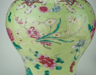 VLARGE Antique Chinese Famille Rose Apple Green Enamel Vase & Lid 18/19th C QING 7