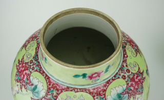 VLARGE Antique Chinese Famille Rose Apple Green Enamel Vase & Lid 18/19th C QING 8