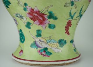 VLARGE Antique Chinese Famille Rose Apple Green Enamel Vase & Lid 18/19th C QING 9
