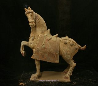 38cm Collect China Tang Sancai Porcelain Animal Horse Beast Statue Ceramics Azyx