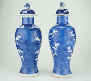 LARGE PAIR Antique CHINESE Blue and White Porcelain Prunus Vase & Lid 19th C 3