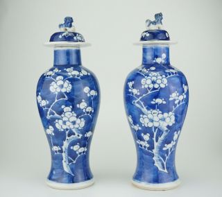 LARGE PAIR Antique CHINESE Blue and White Porcelain Prunus Vase & Lid 19th C 4