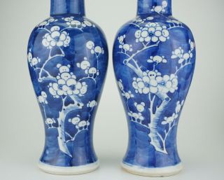 LARGE PAIR Antique CHINESE Blue and White Porcelain Prunus Vase & Lid 19th C 5