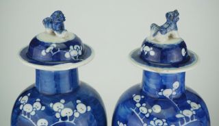 LARGE PAIR Antique CHINESE Blue and White Porcelain Prunus Vase & Lid 19th C 6
