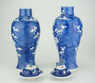 LARGE PAIR Antique CHINESE Blue and White Porcelain Prunus Vase & Lid 19th C 7