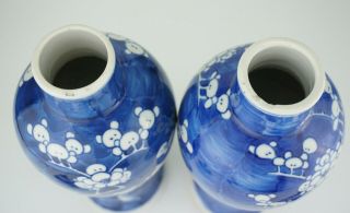 LARGE PAIR Antique CHINESE Blue and White Porcelain Prunus Vase & Lid 19th C 9