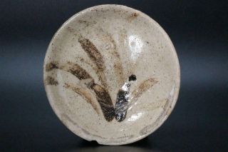 Scbp05 Japanese Antique Shino Ware Iron Painting Plate Pottery Momoyama Japan