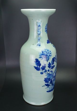 HUGE 59cm Chinese Celadon Blue and White Porcelain Phoenix Vase 19 C Perfect Con 4