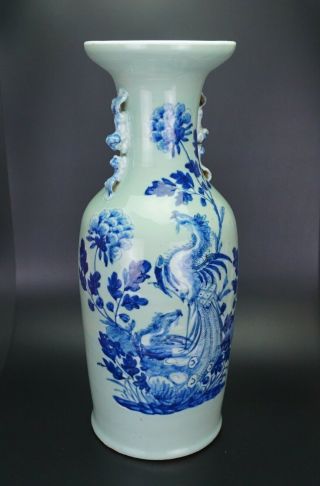 HUGE 59cm Chinese Celadon Blue and White Porcelain Phoenix Vase 19 C Perfect Con 5