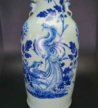 HUGE 59cm Chinese Celadon Blue and White Porcelain Phoenix Vase 19 C Perfect Con 6