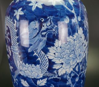 FINE LARGE 45cm Chinese Blue and White Porcelain Dragon Vase KANGXI 19th C 10