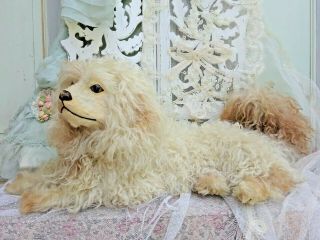And Rare Poodle Dog With Swivel Head Real Dog Hair Glass Eyes 1930 Th