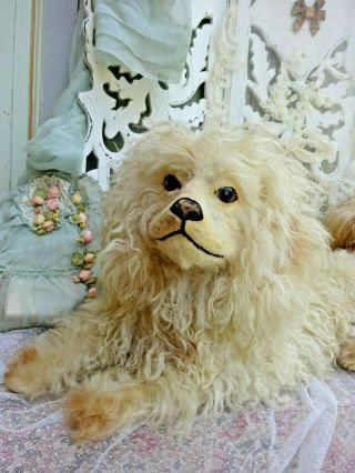 and RARE POODLE DOG WITH SWIVEL HEAD REAL DOG HAIR GLASS EYES 1930 th 2