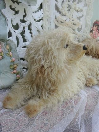 and RARE POODLE DOG WITH SWIVEL HEAD REAL DOG HAIR GLASS EYES 1930 th 4