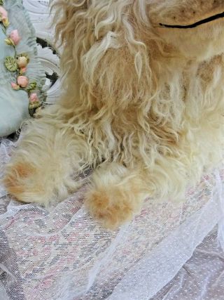 and RARE POODLE DOG WITH SWIVEL HEAD REAL DOG HAIR GLASS EYES 1930 th 6