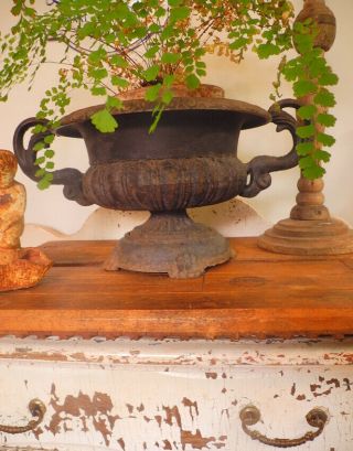 Gorgeous Vintage Black Cast Iron Urn Garden Planter With Handles & Rusty Patina