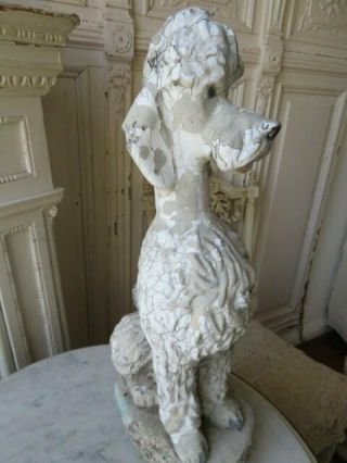 Awesome Old Vintage Garden Dog Statue Poodle Sitting Cement Time Worn Patina