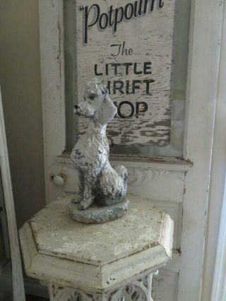 AWESOME Old Vintage Garden DOG STATUE POODLE Sitting Cement Time Worn Patina 2