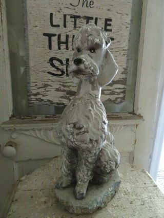 AWESOME Old Vintage Garden DOG STATUE POODLE Sitting Cement Time Worn Patina 3