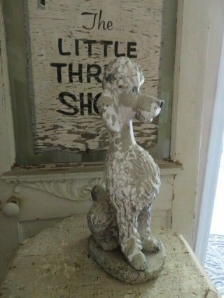 AWESOME Old Vintage Garden DOG STATUE POODLE Sitting Cement Time Worn Patina 4