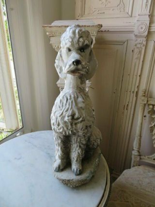 AWESOME Old Vintage Garden DOG STATUE POODLE Sitting Cement Time Worn Patina 6