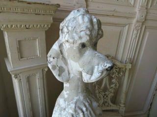 AWESOME Old Vintage Garden DOG STATUE POODLE Sitting Cement Time Worn Patina 8