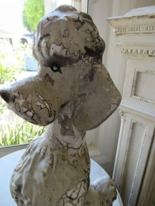 AWESOME Old Vintage Garden DOG STATUE POODLE Sitting Cement Time Worn Patina 9