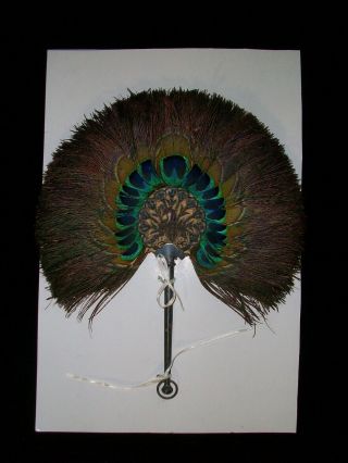 Antique 1900s Persian Peacock Feather HAND FAN Silver Handle Goldwork Embroidery 3