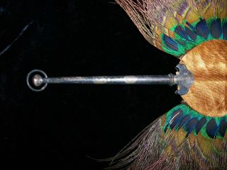 Antique 1900s Persian Peacock Feather HAND FAN Silver Handle Goldwork Embroidery 5