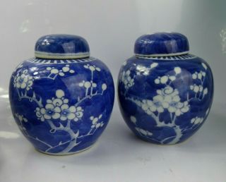 Chinese Antique Near C19th Prunus Ginger Jars & Covers Qing Porcelain