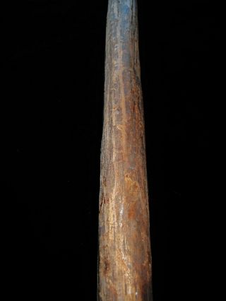 Big Old Aboriginal Digging Stick Mainoru N.  T.  120cm