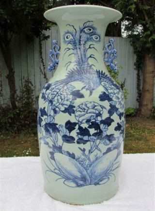 Large Chinese Antiqe 19thc 16 " Blue And White Celadon Glazed Baluster Vase