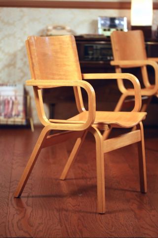 Thonet Bent Maple Plywood Armchair Pair (2),  Mid - Century Modern, 12
