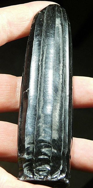 A 100 Authentic Pre Columbian Obsidian Core Artifact From Guatemala 89.  9gr