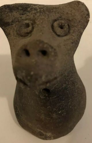 Pre - Columbian Stone Pestle Taino Culture Hand Carved Animal Effigy 1100 - 1400 Ad