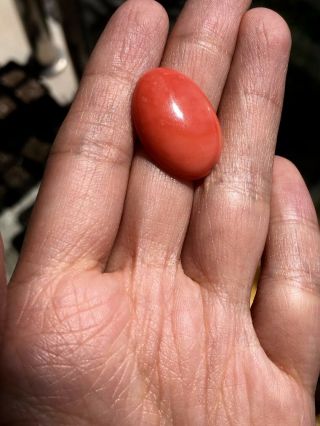Antique Old Stock Natural Salmon Red Coral Cabochon Other Amber Turquoise